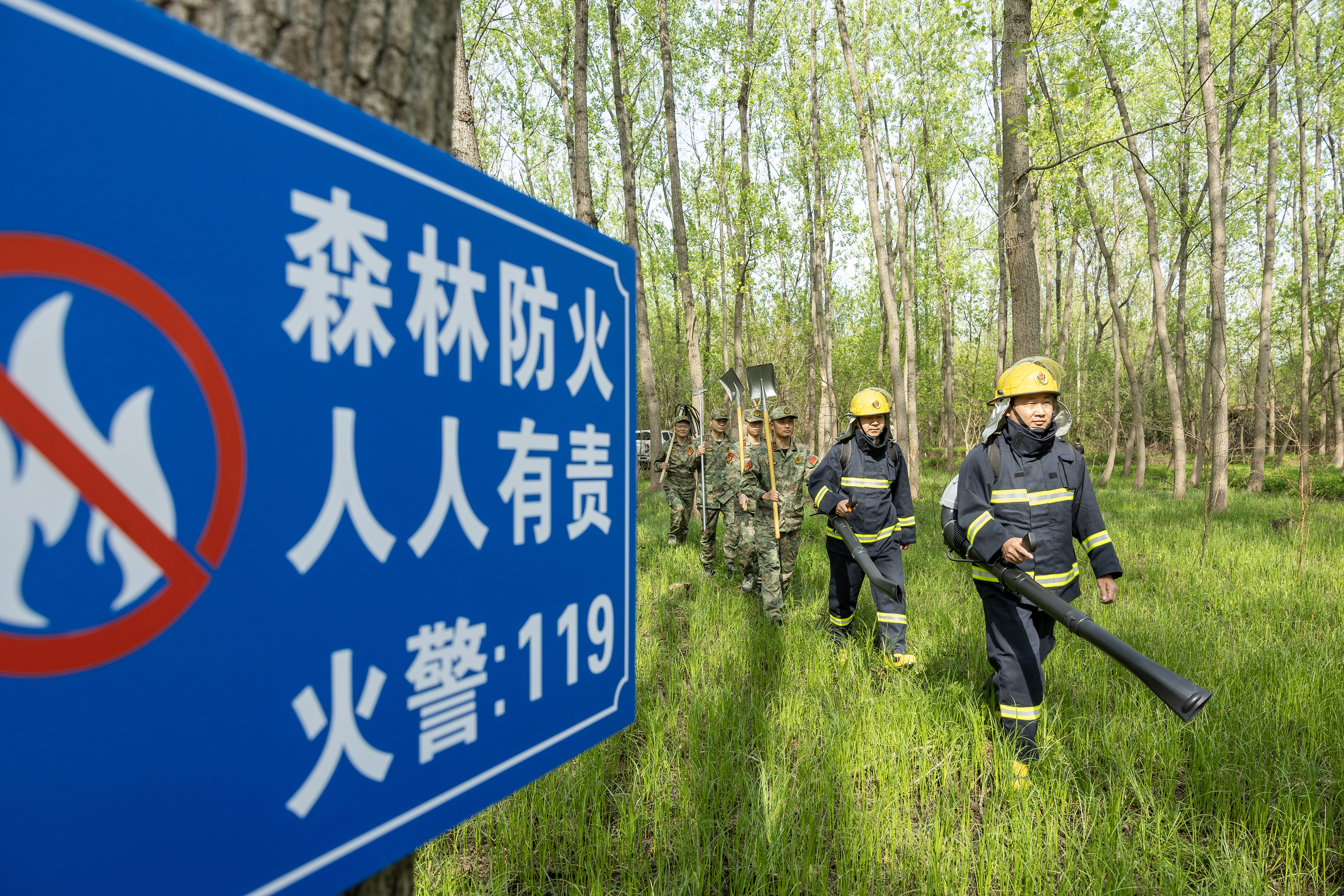 2024年4月9日，合肥市大房郢水庫(kù)水源保護(hù)地廬陽(yáng)經(jīng)濟(jì)開發(fā)區(qū)段，基干民兵正在林間巡查火災(zāi)隱患。